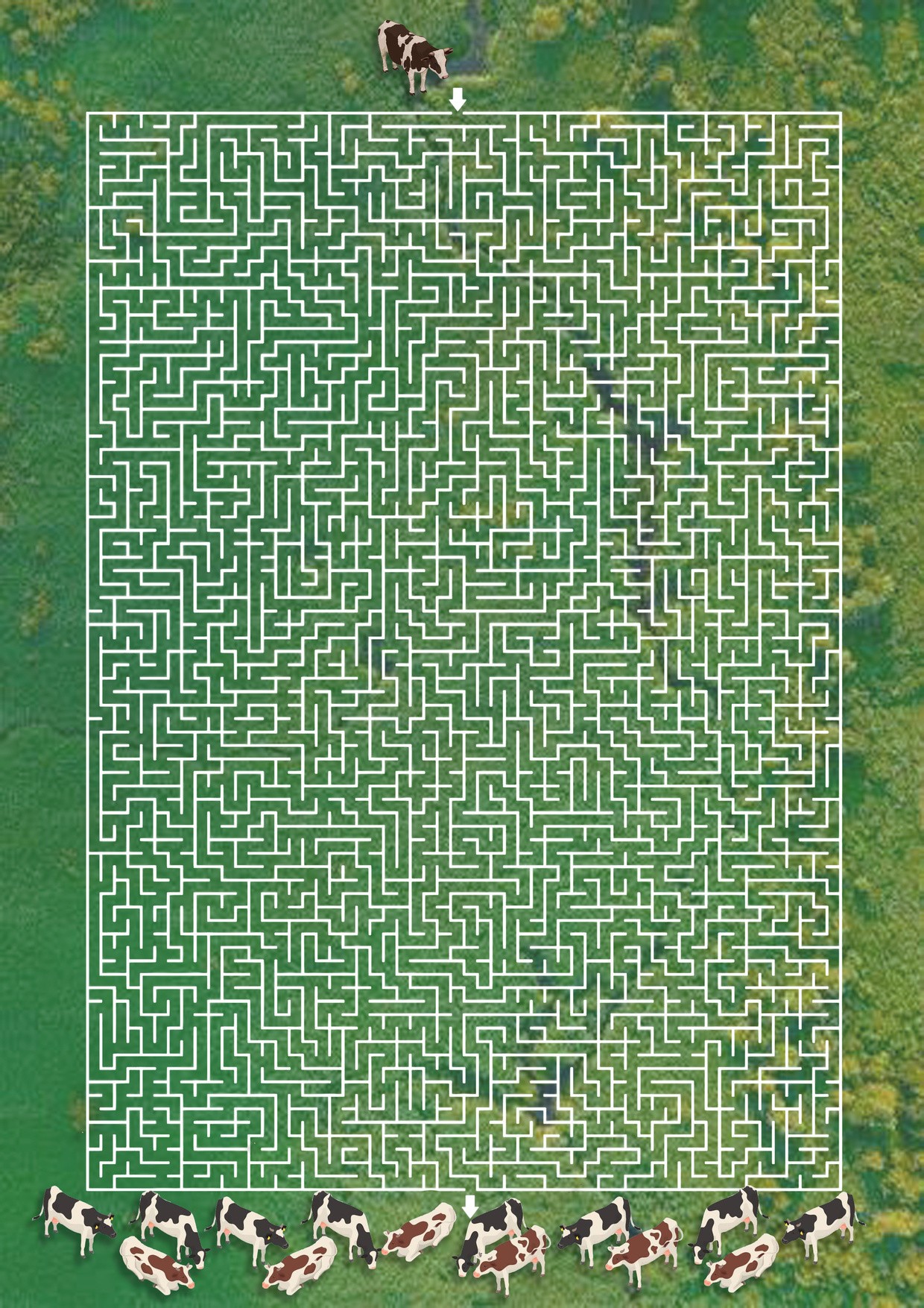 The maze · page 68